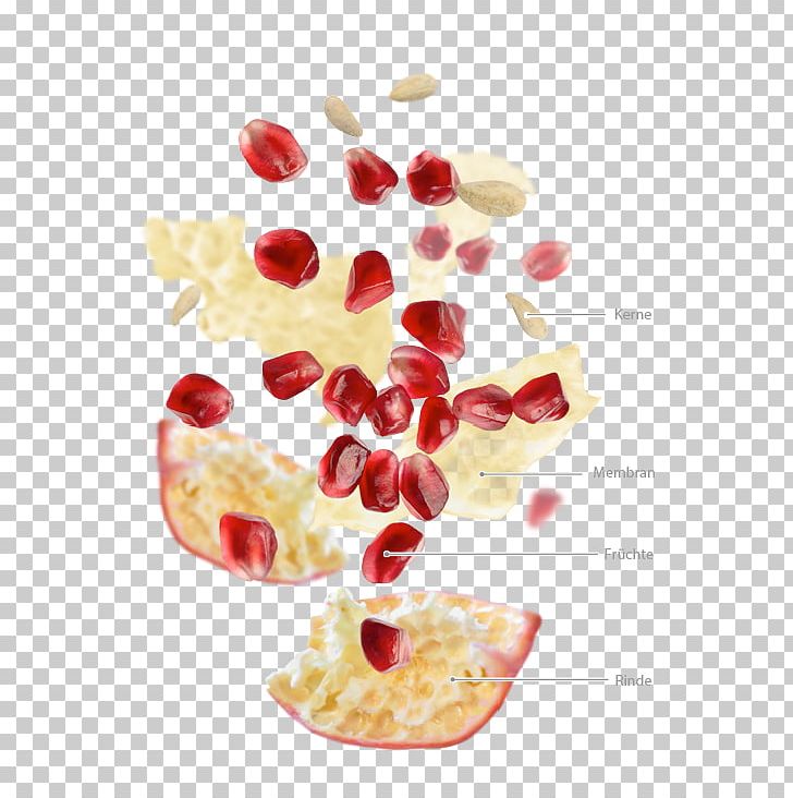 Cranberry Superfood PNG, Clipart, Cranberry, Food, Fruit, Others, Petal Free PNG Download