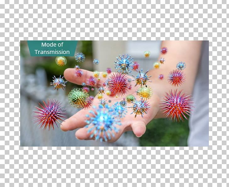 Disease Virus Health Stock Photography Hepatitis A PNG, Clipart, Bacteria, Computer Wallpaper, Disease, Flora, Flower Free PNG Download