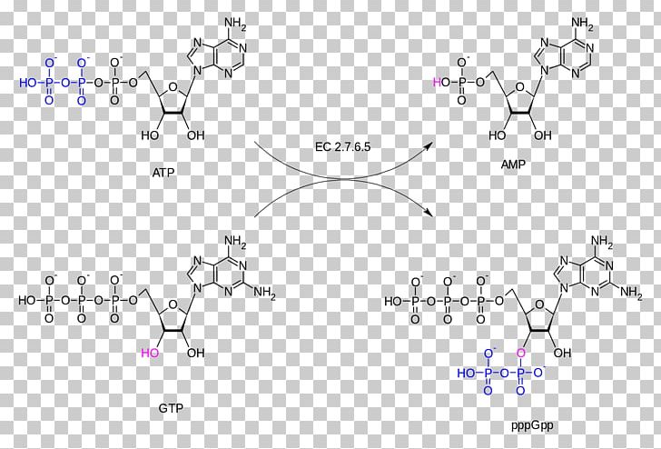 Guanosine Triphosphate Adenosine Triphosphate GTP Diphosphokinase Guanosine Diphosphate PNG, Clipart, Angle, Area, Body Jewelry, Catalysis, Chemical Reaction Free PNG Download
