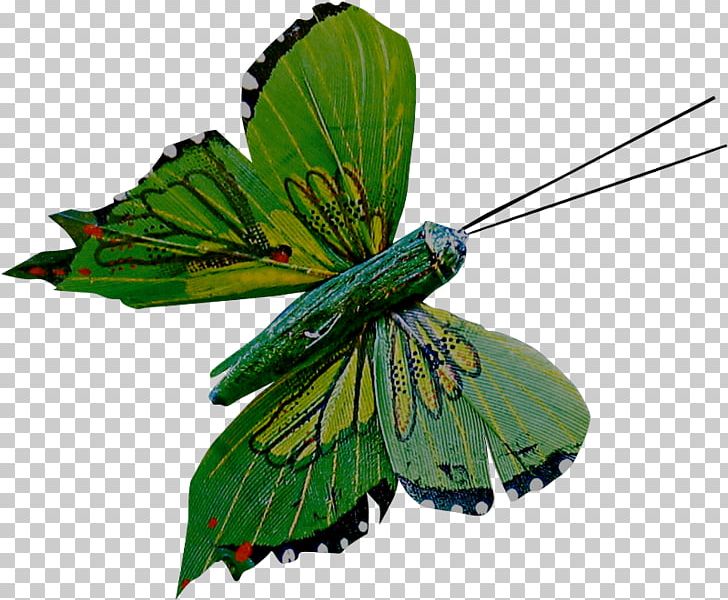 Monarch Butterfly Pieridae Gossamer-winged Butterflies Moth PNG, Clipart, Arthropod, Brush Footed Butterfly, Butterfly, Insect, Insects Free PNG Download