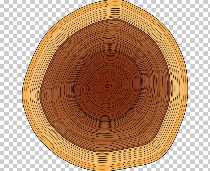 Wood Lumberjack Tree Stump PNG, Clipart, Can Stock Photo, Circle, Computer Icons, Dishware, Firewood Free PNG Download