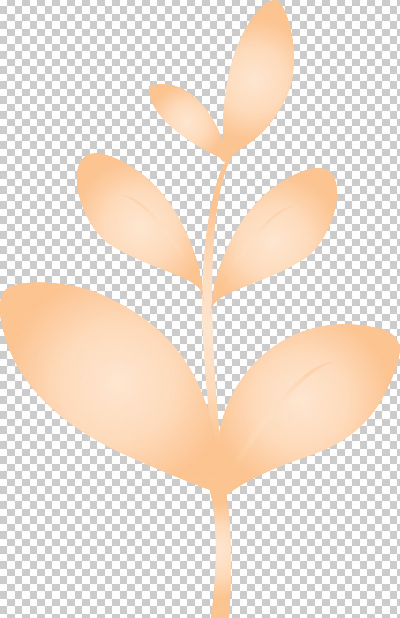 Sprout Bud Seed PNG, Clipart, Bud, Flush, Leaf, Plant, Seed Free PNG Download