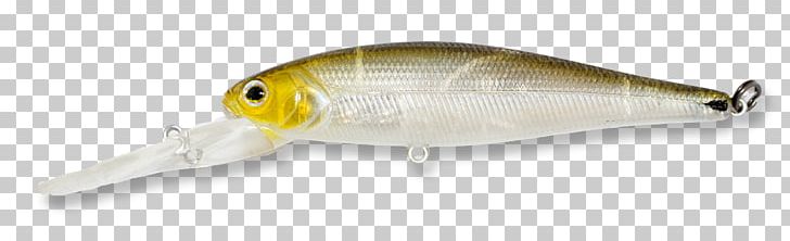 Fishing Baits & Lures Trophy Technology PNG, Clipart, Bait, Fish, Fishing, Fishing Bait, Fishing Baits Lures Free PNG Download