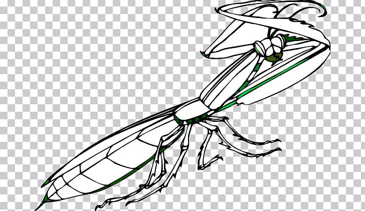 Insect European Mantis Open PNG, Clipart, Artwork, Automotive Design, Black And White, Coloring Book, Drawing Free PNG Download