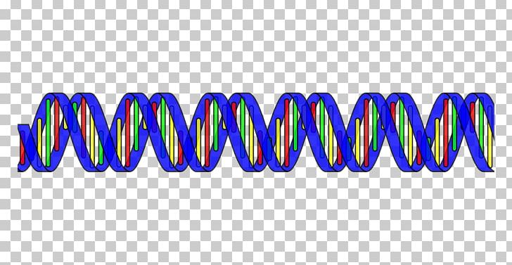 The Double Helix: A Personal Account Of The Discovery Of The Structure Of DNA Nucleic Acid Double Helix PNG, Clipart, Blue, Dna, Double, Electric Blue, Evolution Free PNG Download