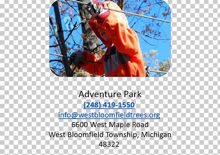 TreeRunner West Bloomfield Adventure Park Water Park Frankenmuth Bavarian Inn PNG, Clipart,  Free PNG Download