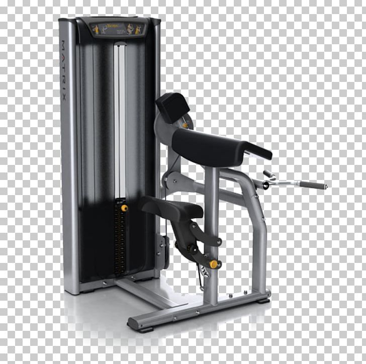Biceps Curl Exercise Machine Fitness Centre PNG, Clipart, Arm, Biceps, Biceps Curl, Exercise, Exercise Equipment Free PNG Download