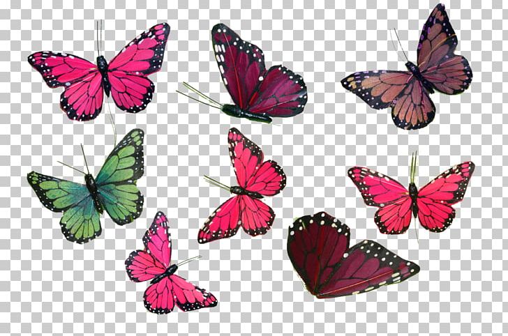 Butterfly Stock Photography PNG, Clipart, Art, Art Museum, Brush Footed Butterfly, Butterflies And Moths, Butterfly Free PNG Download