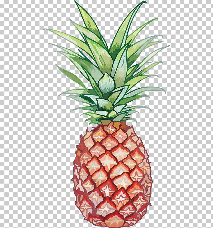 Juice Fruit Pineapple Granita PNG, Clipart, Ananas, Auglis, Bromeliaceae, Flowering Plant, Flowerpot Free PNG Download