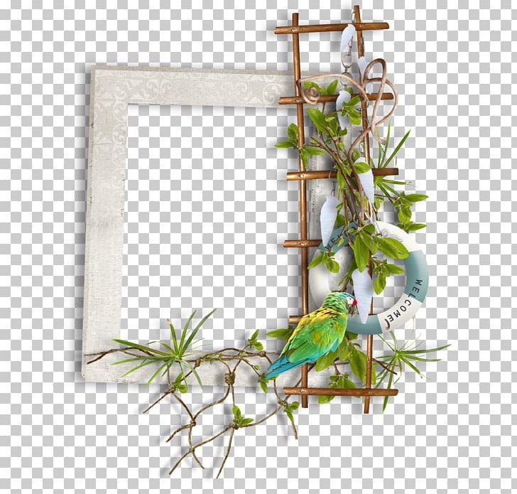 Photography Frames PNG, Clipart, Art, Art Design, Bird, Blog, Branch Free PNG Download