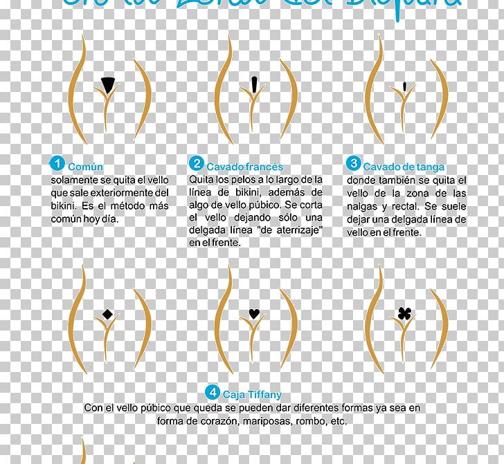 Bikini Waxing Laser Hair Removal Groin Png Clipart Abdomen