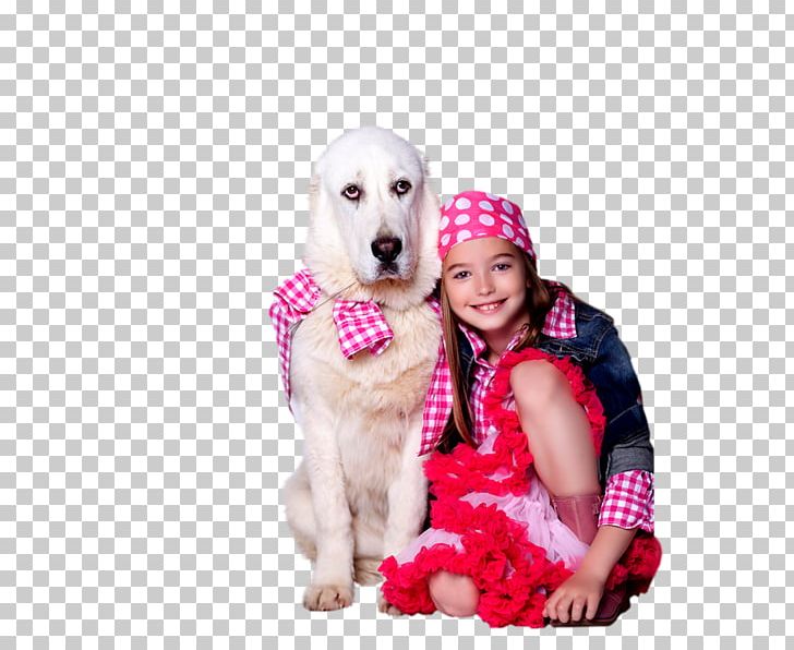 Golden Retriever Puppy Companion Dog Dog Breed Sporting Group PNG, Clipart, Animals, Baby, Carnivoran, Child, Child Girl Free PNG Download