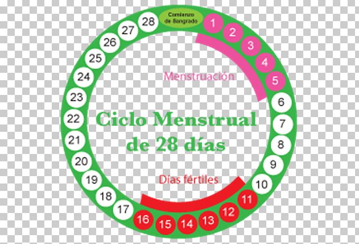 Menstruation Menstrual Cycle Fertility Woman Combined Oral Contraceptive Pill PNG, Clipart, Area, Brand, Calendar, Ciclo Formativo, Circle Free PNG Download