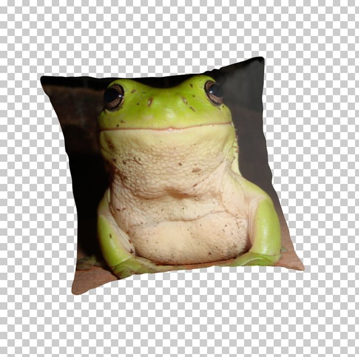 Tree Frog Throw Pillows True Frog Cushion PNG, Clipart, Amphibian, Cushion, Frog, Furniture, Pillow Free PNG Download