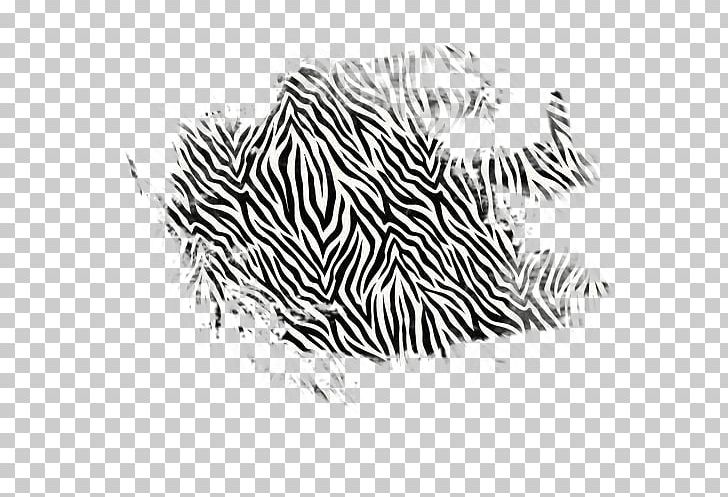 Zebra Tiger Cat Animal Print Pattern PNG, Clipart, Animal, Animal Print, Animals, Big Cat, Big Cats Free PNG Download
