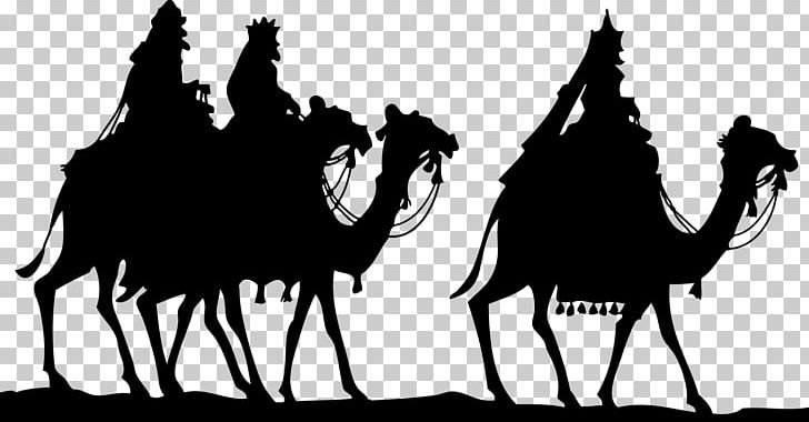 Biblical Magi Epiphany We Three Kings PNG, Clipart, 3 Wise Men, Arabian Camel, Black And White, Camel, Camel Like Mammal Free PNG Download