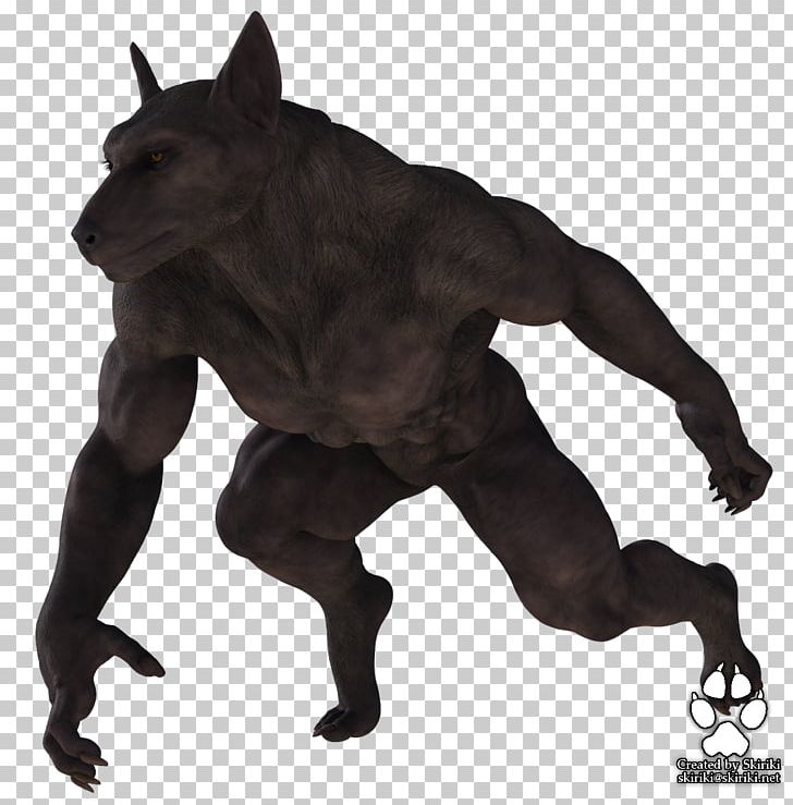 Gray Wolf Werewolf DAS Productions Inc Lycaon PNG, Clipart, Art, Black Wolf, Das Productions Inc, Deviantart, Dog Like Mammal Free PNG Download