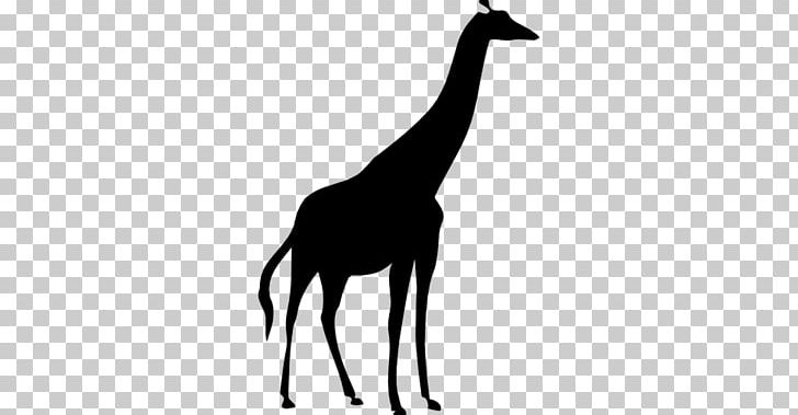 Northern Giraffe Silhouette PNG, Clipart, Animal, Animals, Black And White, Computer Icons, Download Free PNG Download