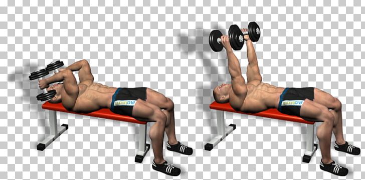 Physical Fitness Shoulder Bench Dumbbell Lying Triceps Extensions PNG, Clipart, Abdomen, Arm, Barbell, Calf, Chest Free PNG Download