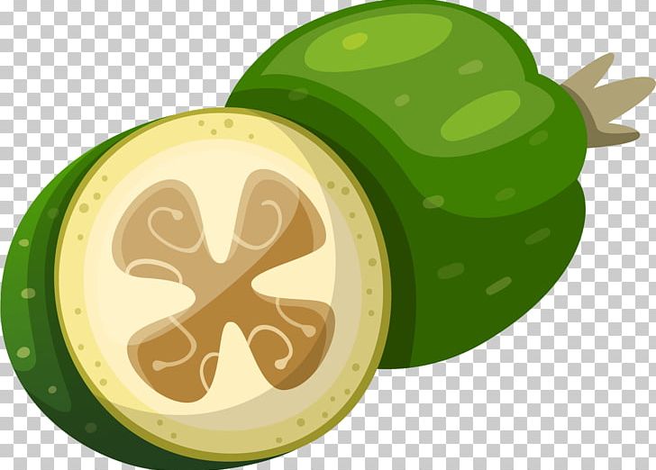 Fruit Auglis Food PNG, Clipart, Auglis, Background Green, Breath, Euclidean Vector, Food Free PNG Download