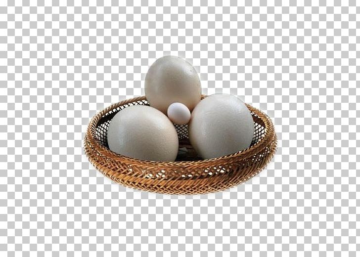 Common Ostrich Bird Fried Egg Chicken Ham And Eggs PNG, Clipart, Animals, Big, Big Bird Egg, Bird, Bird Egg Free PNG Download