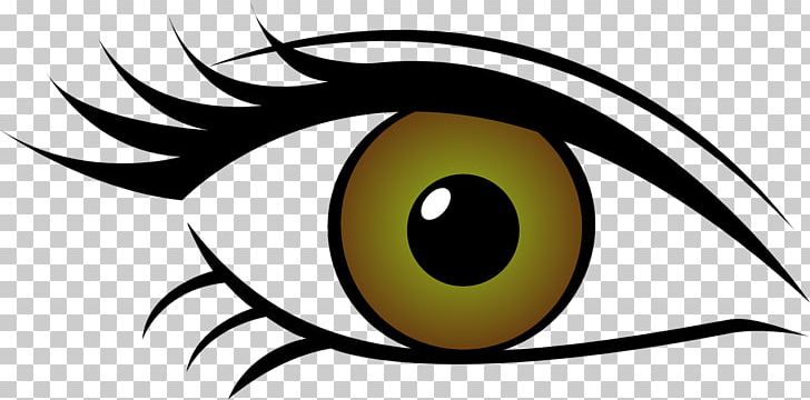 Eye Color PNG, Clipart, Artwork, Beak, Black And White, Cats Eye, Circle Free PNG Download