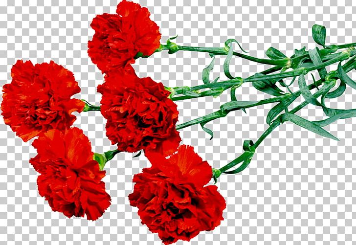 Ohio Carnation Flower PNG, Clipart, Artificial Flower, Carnations, Cut Flowers, Floral Design, Floristry Free PNG Download