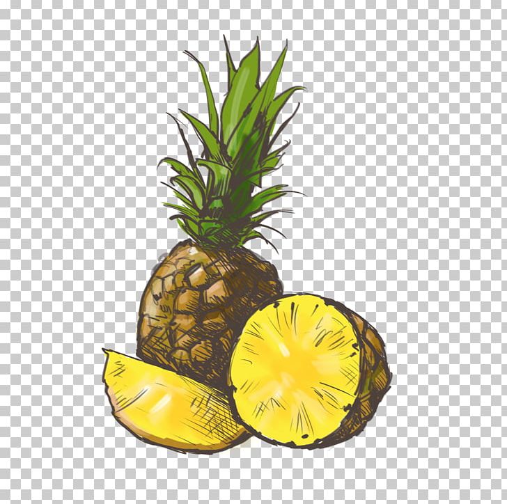 Pineapple Grapefruit Juice Orange Juice PNG, Clipart, Ananas, Apple, Auglis, Bromeliaceae, Food Free PNG Download