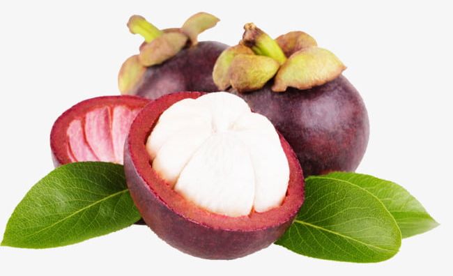 3 Mangosteen PNG, Clipart, 3 Clipart, Food, Fruit, Mangosteen, Mangosteen Clipart Free PNG Download