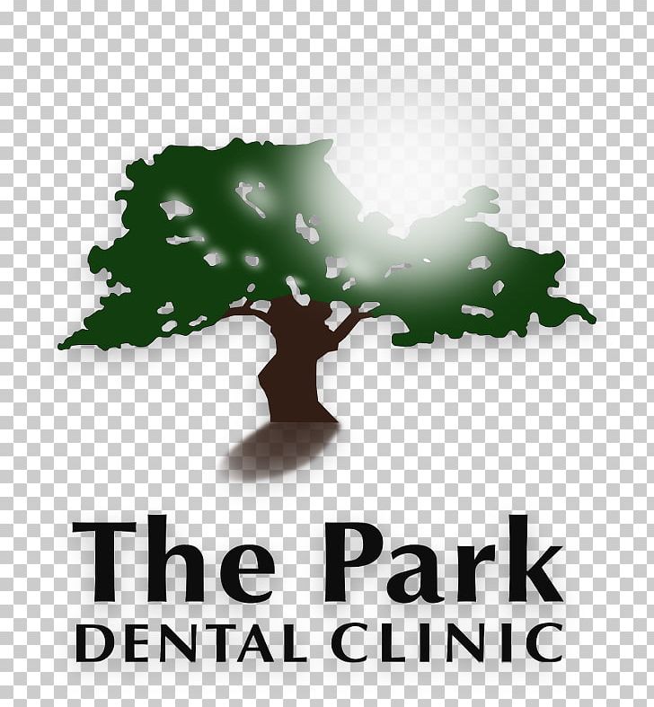 Logo Course Brand Meal Font PNG, Clipart, Alpark Dental Clinic, Book, Brand, Cooking, Course Free PNG Download