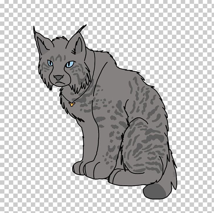 Whiskers Kitten Domestic Short-haired Cat Wildcat Tabby Cat PNG, Clipart, Animals, Black, Canidae, Carnivoran, Cartoon Free PNG Download