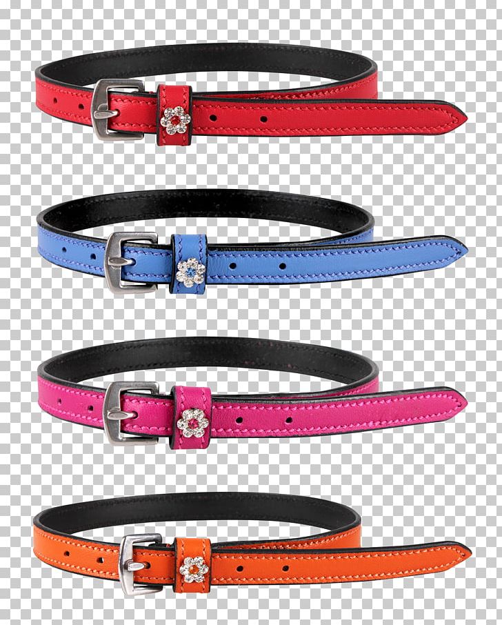 Belt Strap Dog Collar Leash PNG, Clipart, Belt, Clothing, Collar, Dog, Dog Collar Free PNG Download