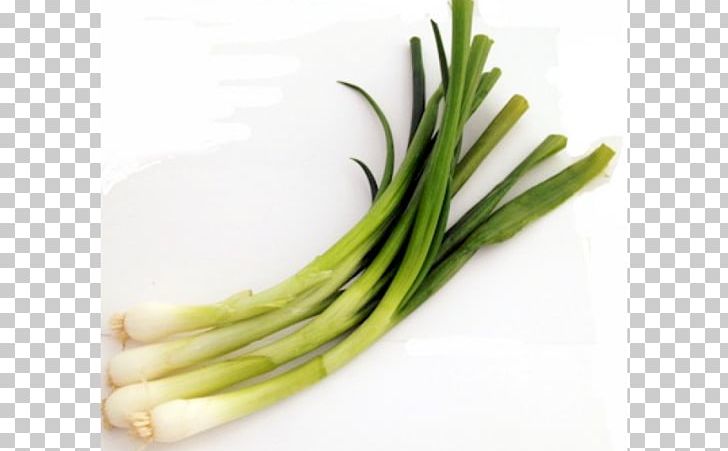 Scallion Chives Cong You Bing Shallot Recipe PNG, Clipart, Allium, Allium Chinense, Allium Fistulosum, Chives, Cong You Bing Free PNG Download