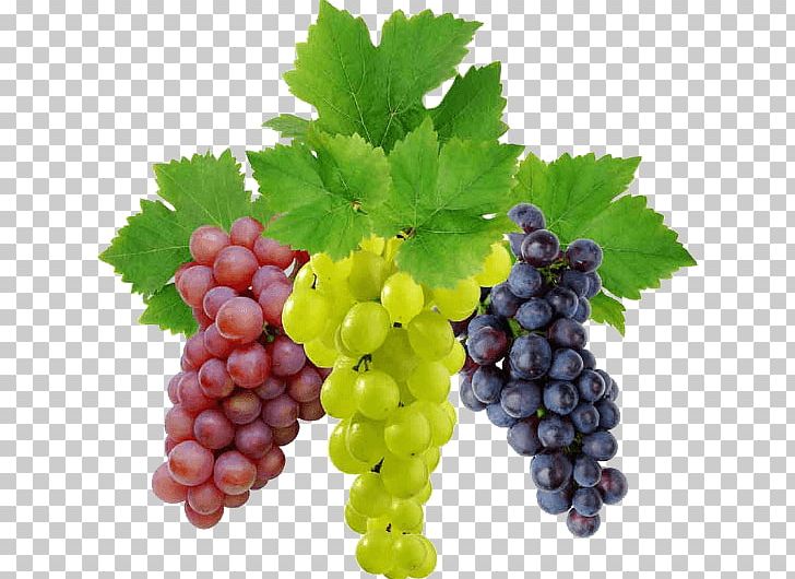 wine grapes background