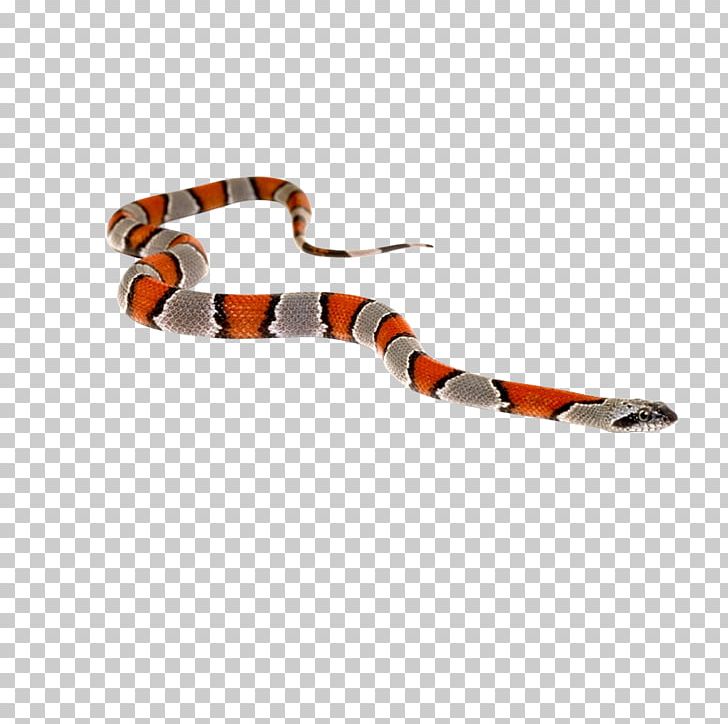 Venomous Snake Reptile Green Anaconda Cobra PNG, Clipart, Anaconda, Animal, Animals, Boas, Boinae Free PNG Download