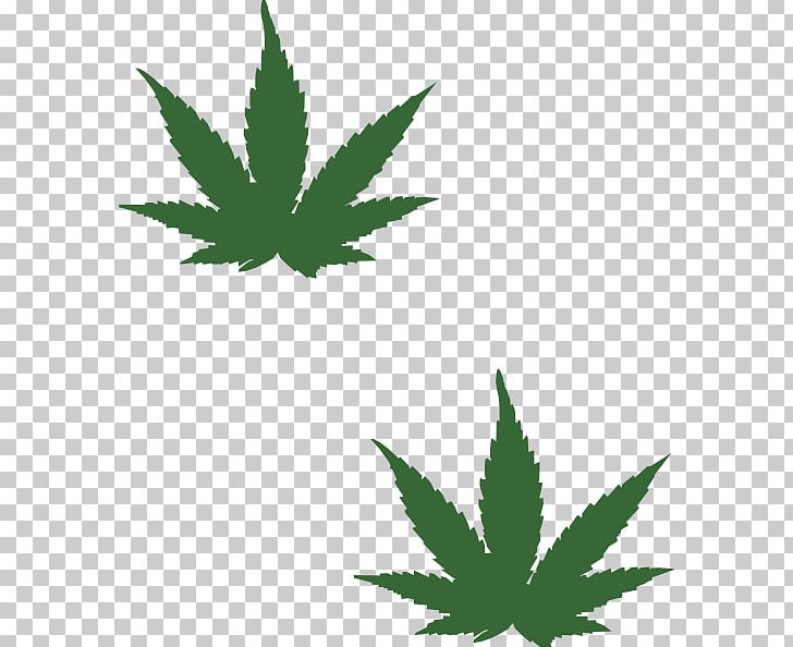Hash PNG, Clipart, Cannabis, Computer Icons, Drawing, Flowering Plant, Hash Marihuana Hemp Museum Free PNG Download