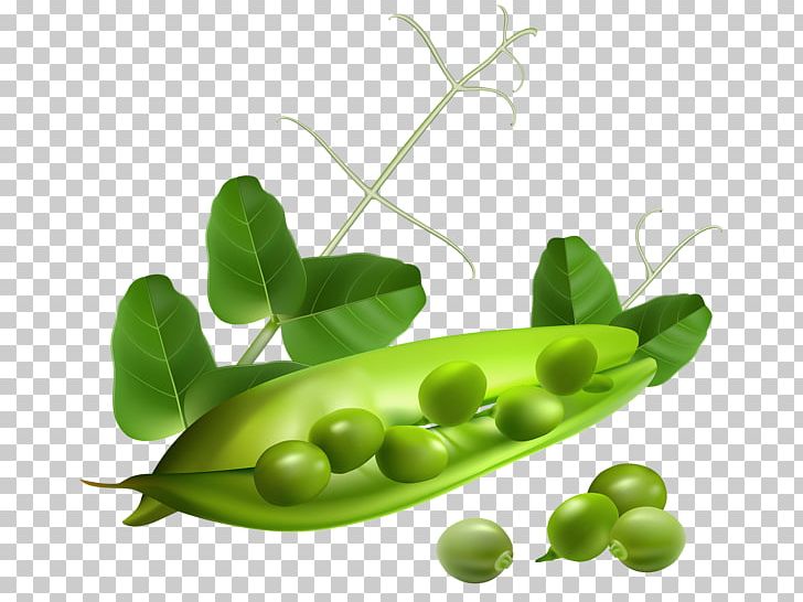 Pea Pod PNG, Clipart, Bean, Commodity, Document, Food, Fruit Free PNG Download