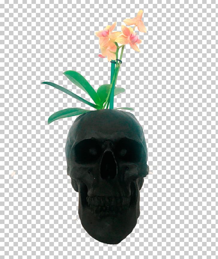 Skull Flowerpot Plant PNG, Clipart, Bone, Fantasy, Flowerpot, Orquideas, Plant Free PNG Download