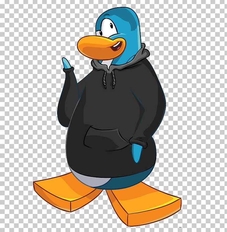 Club Penguin Bird Southern Rockhopper Penguin King Penguin PNG, Clipart, Animals, Beak, Bird, Cheats, Club Penguin Free PNG Download
