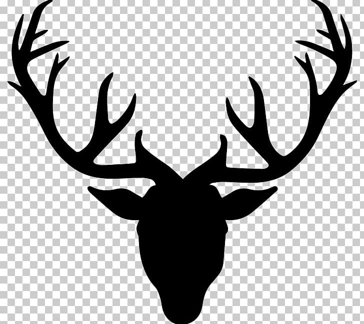 Roe Deer Drawing Antler PNG, Clipart, Animals, Antler, Black And White, Deer, Deer Head Free PNG Download