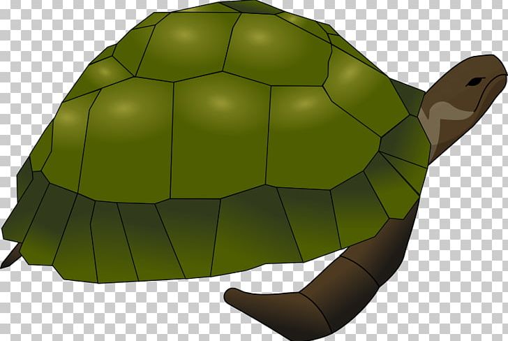 Sea Turtle Common Snapping Turtle PNG, Clipart, Alligator Snapping Turtle, Animals, Common Snapping Turtle, Download, Fauna Free PNG Download