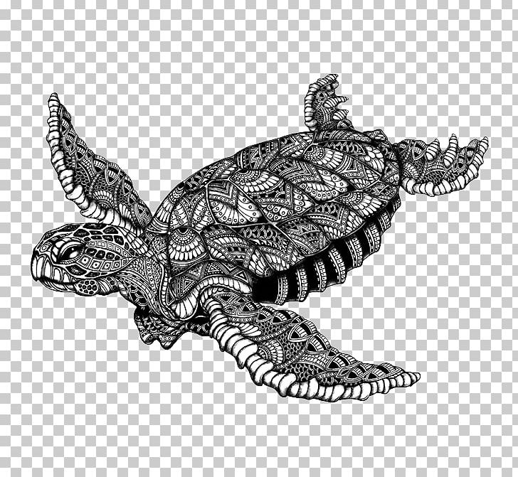 Sea Turtle Tortoise Emydidae Snapping Turtles PNG, Clipart, Animal, Animals, Bandana, Black, Black And White Free PNG Download