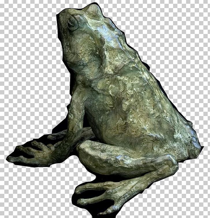 Toad True Frog Bronze Sculpture Tree Frog PNG, Clipart, Amphibian, Animal, Animals, Artistics, Bronze Free PNG Download
