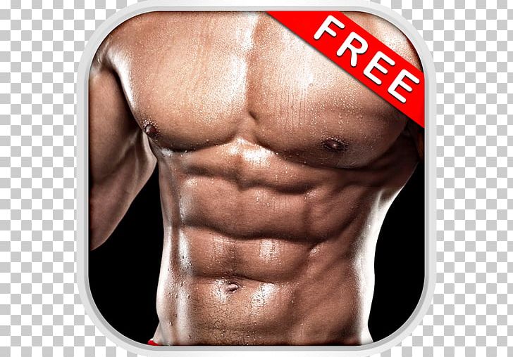 Abdomen Bodybuilding Exercise Personal Trainer Human Body PNG, Clipart, Abdomen, Abdominal Exercise, Abs, Arm, Bodybuilder Free PNG Download