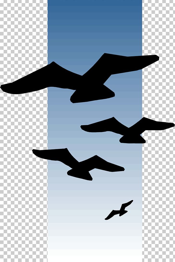 Bird Flight Bird Flight PNG, Clipart, Animals, Beak, Bird, Bird Flight, Computer Icons Free PNG Download