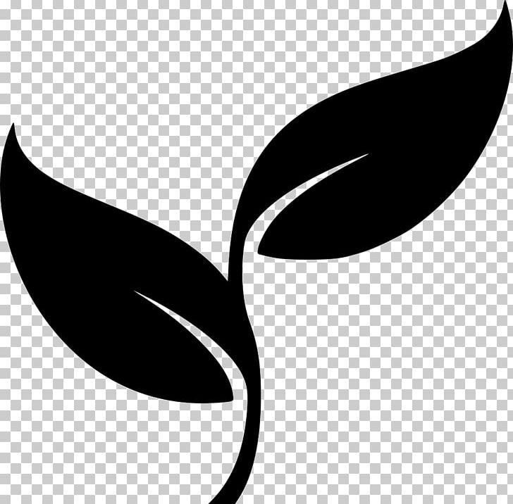 Ilex Guayusa Leaf Desktop Computer PNG, Clipart, Artwork, Black, Black And White, Black M, Computer Free PNG Download