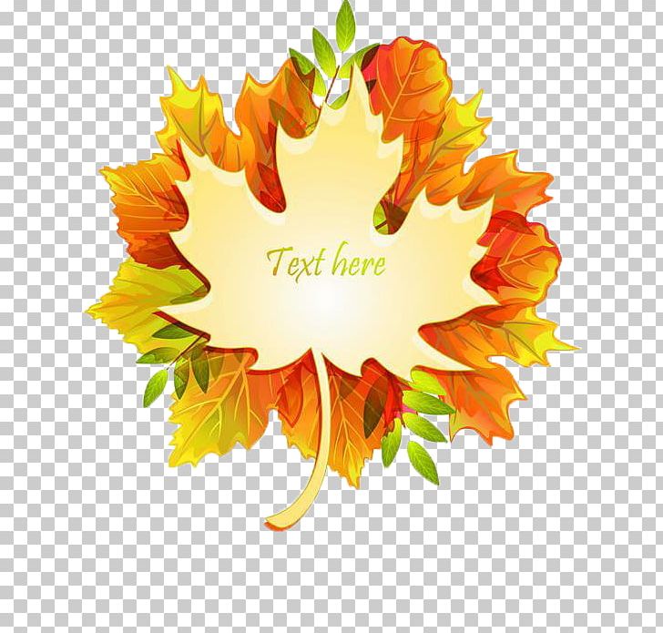 Maple Leaf Autumn Leaf Color PNG, Clipart, Adobe Illustrator, Akiba, Autumn, Autumn Tree, Colorful Free PNG Download