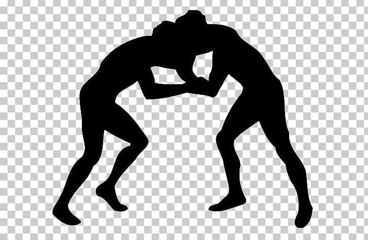 Professional Wrestling PNG, Clipart, Abdomen, Arm, Black, Black And White, Canyon Free PNG Download