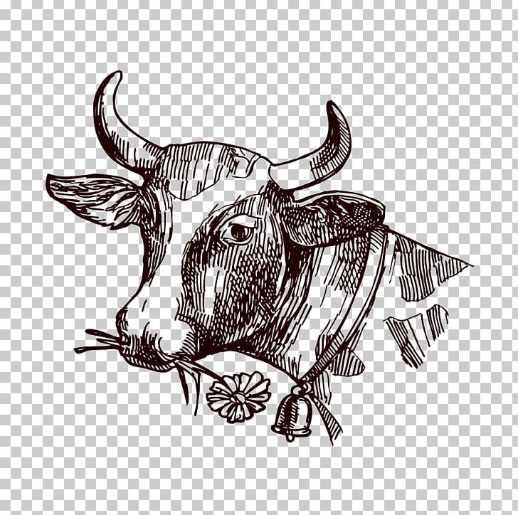 Texas Longhorn Milk Drawing Sketch PNG, Clipart, Animal, Animals, Art, Black And White, Bull Free PNG Download