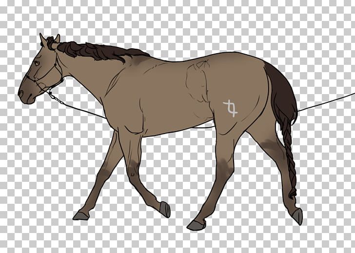 Mule Rein Stallion Horse Harnesses Mustang PNG, Clipart,  Free PNG Download